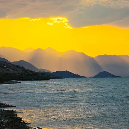 Pateriku * Shkodër